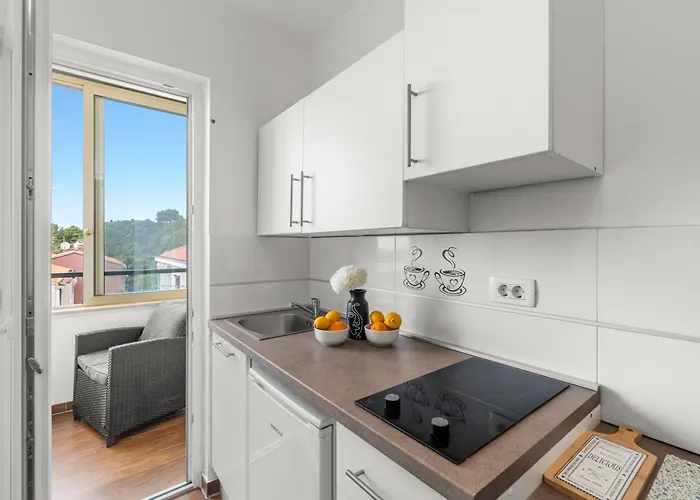 Kala Sea View 150m From And 250 M From Old Town Lejlighed Poreč